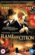 image of Flame and Citron DVD cover